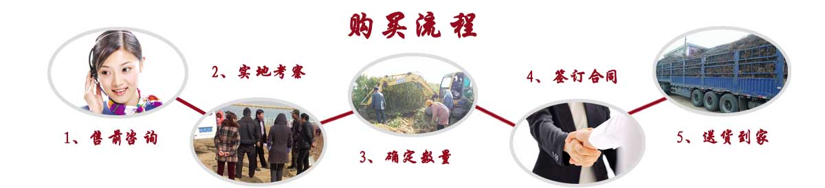 購(gòu)買(mǎi)流程