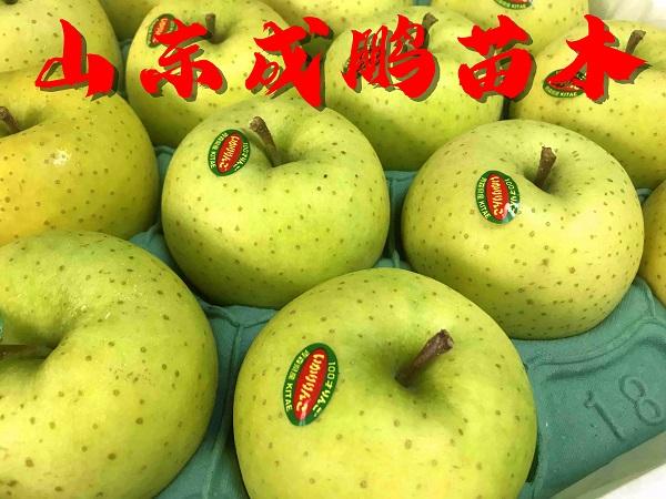 王林蘋果
